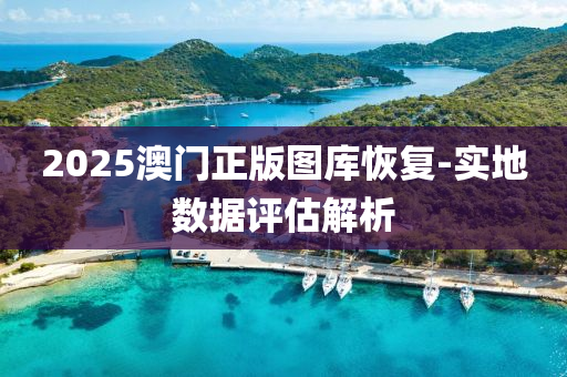 2025澳門正版圖庫恢復-實地數(shù)據(jù)評估解析