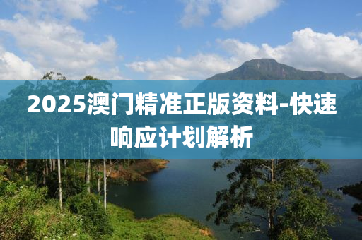 2025澳門精準(zhǔn)正版資料-快速響應(yīng)計劃解析