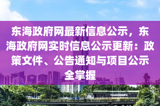 東海政府網(wǎng)最新信息公示，東海政府網(wǎng)實(shí)時信息公示更新：政策文件、公告通知與項(xiàng)目公示全掌握