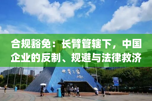 合規(guī)豁免：長臂管轄下，中國企業(yè)的反制、規(guī)避與法律救濟液壓動力機械,元件制造