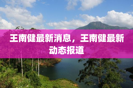 王南健最新消息，王南健最新動態(tài)報道液壓動力機械,元件制造