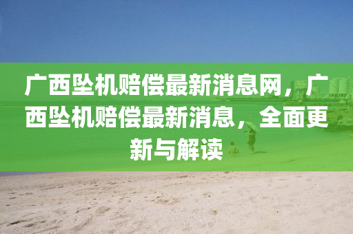 廣西墜機賠償最新消息網(wǎng)，廣西墜機賠償最新消息，全面更新與解讀液壓動力機械,元件制造