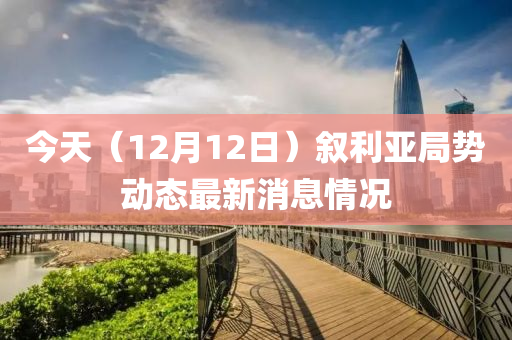 今天（12月12日）敘利亞局勢動態(tài)最新消息情況