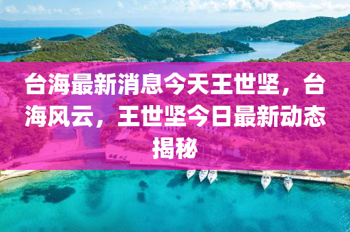 臺海最液壓動力機械,元件制造新消息今天王世堅，臺海風云，王世堅今日最新動態(tài)揭秘