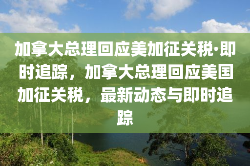 加拿大總理回應美加征關稅·即時追蹤，加拿大總理回應美國加征關稅，最新動態(tài)與即時追蹤液壓動力機械,元件制造