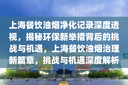 上海餐飲油煙凈化記錄深度透視，揭秘環(huán)保新舉措背后的挑戰(zhàn)與機(jī)遇，上海餐飲油煙治理新篇章，挑戰(zhàn)與機(jī)遇深度解析液壓動(dòng)力機(jī)械,元件制造