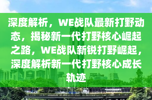 深度解析，WE戰(zhàn)隊(duì)最新打野動態(tài)，揭秘新一代打野核心崛起之路，WE戰(zhàn)隊(duì)新銳打野崛起，深度解析新一代打野核心成長軌跡液壓動力機(jī)械,元件制造