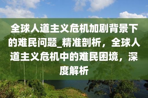 全球人道主義危機(jī)加劇背景下的難民問題_精準(zhǔn)剖析，全球人道主義危機(jī)中的難民困境，深度解析液壓動力機(jī)械,元件制造