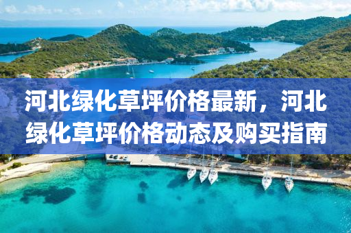 河北綠化草坪價格最新，河北綠化草坪價格動態(tài)及購買指南液壓動力機(jī)械,元件制造