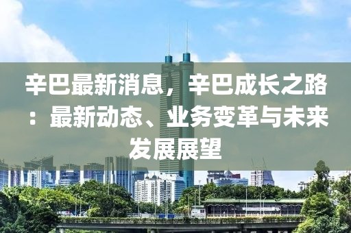 辛巴最新消息，辛巴成長之路：最新動態(tài)、業(yè)務(wù)變革與未來發(fā)展展望液壓動力機械,元件制造