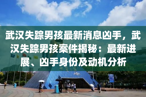 武漢失蹤男孩最新消息兇手，武漢失蹤男孩案件揭秘：最新進展、兇手身份及動機分析液壓動力機械,元件制造