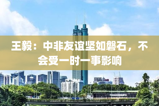 王毅：中非友誼堅如磐石，不會受一時一事影響液壓動力機(jī)械,元件制造