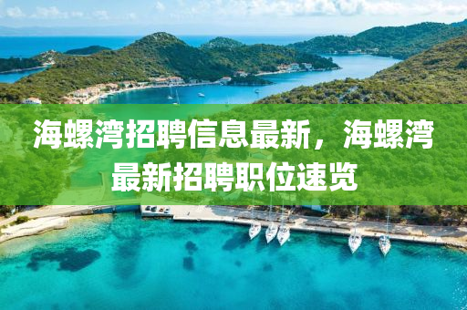 海螺灣招聘信息最新，海螺灣最新招聘職位速覽