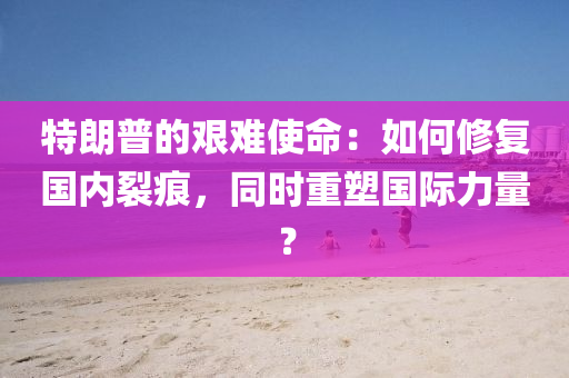 特朗普的艱難使命：如何修復國內(nèi)裂痕，同時重塑國際力量？液壓動力機械,元件制造