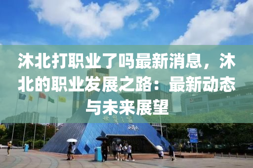 沐北打職業(yè)了嗎最新消息，沐北液壓動力機械,元件制造的職業(yè)發(fā)展之路：最新動態(tài)與未來展望