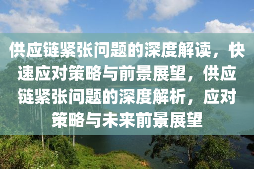 供應鏈緊張問題的深度解讀，快速應對策略與前景展望，供應鏈緊張問題的深度解析，應對策略與未來前景展望液壓動力機械,元件制造