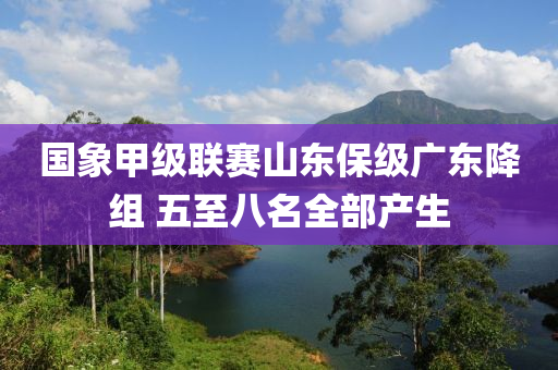 國象甲級聯賽山東保級廣東降組 五至八名全部產生液壓動力機械,元件制造