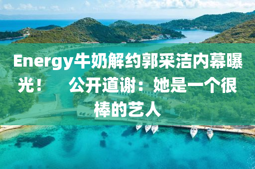 Energy牛奶解約郭采潔內(nèi)幕曝光！　公開道謝：她是一個很棒的藝液壓動力機械,元件制造人