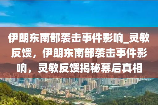 伊朗東南部襲擊事件影響_靈敏反饋，伊朗東南部襲擊事件影響，靈敏反饋揭秘幕后真相液壓動力機械,元件制造