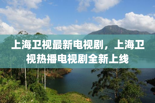 上海衛(wèi)視最新電視劇，上海衛(wèi)視熱播電視劇全新上線液壓動(dòng)力機(jī)械,元件制造