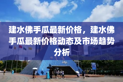 建水佛手瓜最新價格，建水佛手瓜最新價格動態(tài)及市場趨勢分析液壓動力機械,元件制造