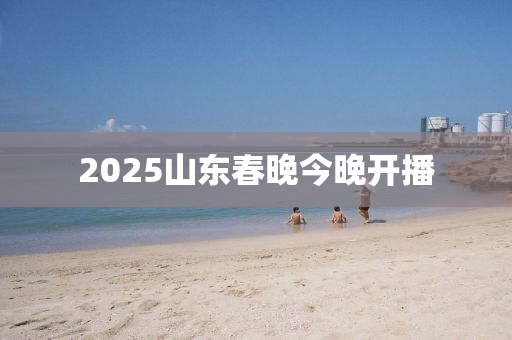 2025山東春晚液壓動力機械,元件制造今晚開播