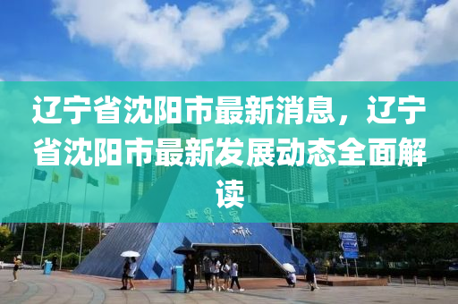 遼寧省沈陽市最新消息，遼寧省沈陽市最新發(fā)展動態(tài)全面解讀液壓動力機(jī)械,元件制造