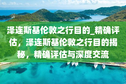 澤連斯基倫敦之行目的_精確評估，澤連斯基倫敦之液壓動力機械,元件制造行目的揭秘，精確評估與深度交流