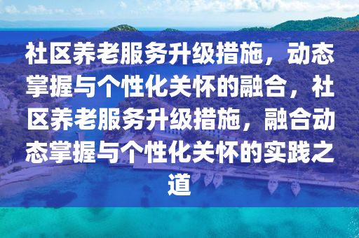 社區(qū)養(yǎng)老服務升級措施，動態(tài)掌握與個性化關懷的融合，社區(qū)養(yǎng)老服務升級措施，融合動態(tài)掌握與個性化關懷的實踐之道液壓動力機械,元件制造