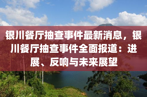 銀液壓動(dòng)力機(jī)械,元件制造川餐廳抽查事件最新消息，銀川餐廳抽查事件全面報(bào)道：進(jìn)展、反響與未來(lái)展望