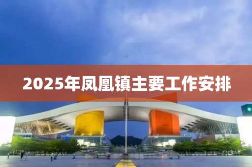 2025年液壓動(dòng)力機(jī)械,元件制造鳳凰鎮(zhèn)主要工作安排