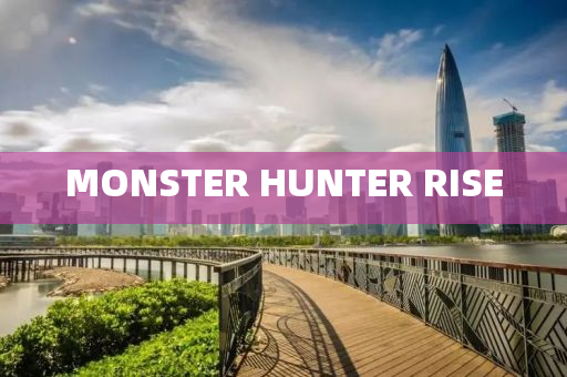 MONSTER HUNTER 液壓動力機(jī)械,元件制造RISE