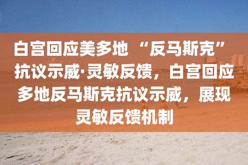 白宮回應美多地 “反馬斯克” 抗議示威·靈敏反饋，白宮回應多地反馬斯克抗議示威，展現(xiàn)靈敏反饋機制液壓動力機械,元件制造