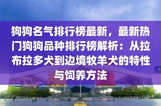 狗狗名氣排行榜最新，最新熱門狗液壓動(dòng)力機(jī)械,元件制造狗品種排行榜解析：從拉布拉多犬到邊境牧羊犬的特性與飼養(yǎng)方法