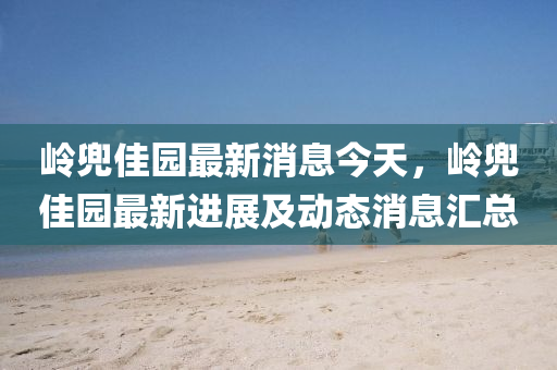 嶺兜佳園最新消息今液壓動力機械,元件制造天，嶺兜佳園最新進展及動態(tài)消息匯總