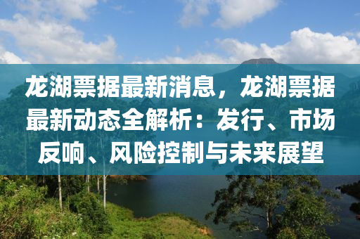 龍湖票據最新消息，龍湖票據最新動態(tài)全解析：發(fā)行、市場反響、風險控制與未來展望液壓動力機械,元件制造