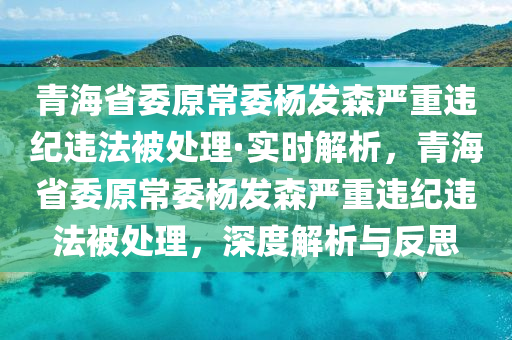 青海省委原常委楊發(fā)森嚴重違紀違法被處理·實時解析，青海省液壓動力機械,元件制造委原常委楊發(fā)森嚴重違紀違法被處理，深度解析與反思