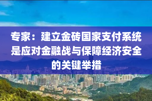 專家：建立金磚國家支付系統(tǒng)是應(yīng)對(duì)金融戰(zhàn)與保障經(jīng)濟(jì)安全的關(guān)鍵舉措