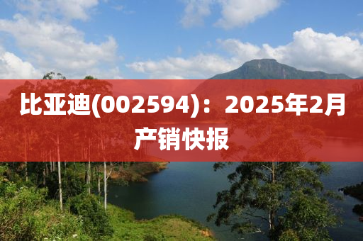 比亞迪(002594)：2025年2月產(chǎn)銷快報液壓動力機械,元件制造