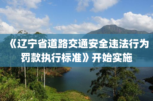 《遼寧省道路交通安全違法行為罰款執(zhí)行標準》開始實施液壓動力機械,元件制造