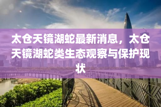 太倉天鏡湖蛇最新消息液壓動力機械,元件制造，太倉天鏡湖蛇類生態(tài)觀察與保護現(xiàn)狀