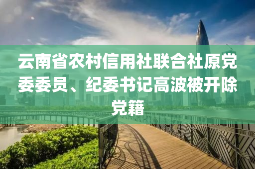 云南省農(nóng)村信用社聯(lián)合社原黨委委員、紀(jì)委書(shū)記高波被開(kāi)除黨籍液壓動(dòng)力機(jī)械,元件制造