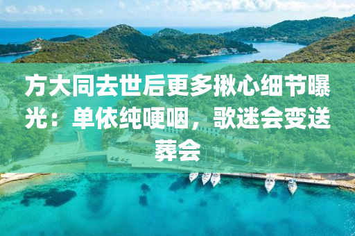 方大同去世后更多揪心細節(jié)曝光：單依純哽咽，歌迷會變送葬會液壓動力機械,元件制造