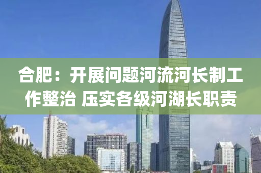 合肥：開展問題河流河長制工作整治 壓液壓動力機械,元件制造實各級河湖長職責