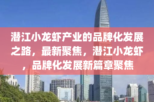 潛江小龍蝦產業(yè)的品牌化發(fā)展之路，最新聚焦，潛江小龍蝦，品牌化發(fā)展新篇章聚焦