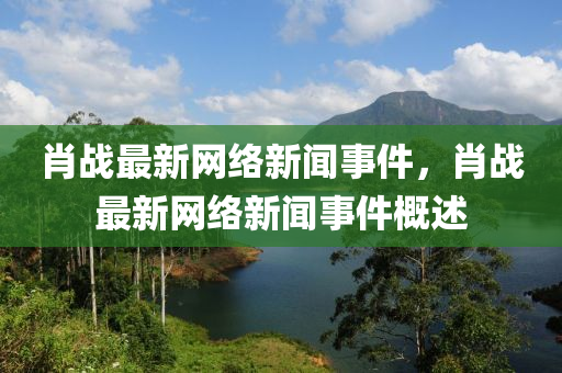 肖戰(zhàn)最新網(wǎng)絡(luò)新聞事件，肖戰(zhàn)最新網(wǎng)絡(luò)新聞事件概述