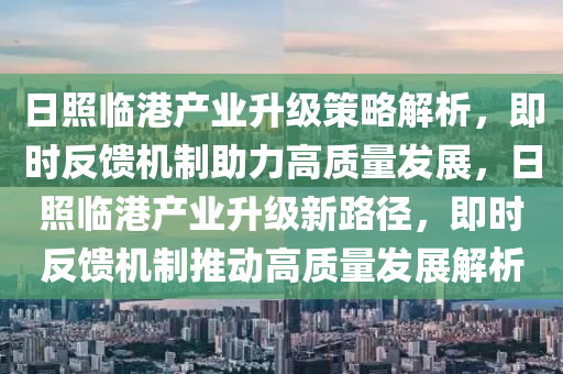 日照臨港產(chǎn)業(yè)升級(jí)策略解析，即時(shí)反饋機(jī)制助力高質(zhì)量發(fā)展，日照臨港產(chǎn)業(yè)升級(jí)新路徑，即時(shí)反饋機(jī)制推動(dòng)高質(zhì)量發(fā)展解析液壓動(dòng)力機(jī)械,元件制造