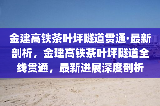 金建高鐵茶葉坪隧道貫通·最新剖析，金建高鐵茶葉坪隧道全線貫通，最新進展深度剖析