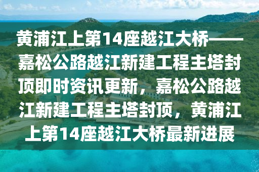 黃液壓動(dòng)力機(jī)械,元件制造浦江上第14座越江大橋——嘉松公路越江新建工程主塔封頂即時(shí)資訊更新，嘉松公路越江新建工程主塔封頂，黃浦江上第14座越江大橋最新進(jìn)展