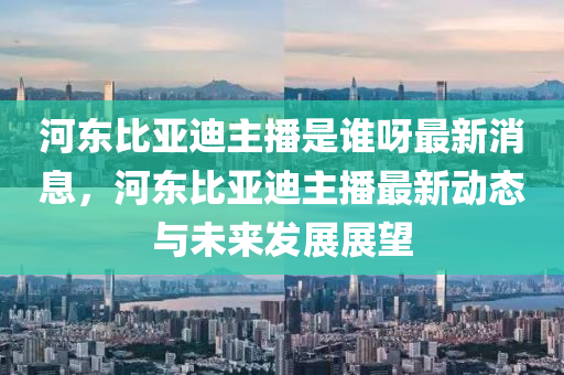 河東比亞迪主播是誰呀最新消息，河東比亞迪主播最新動態(tài)與未來發(fā)展展望